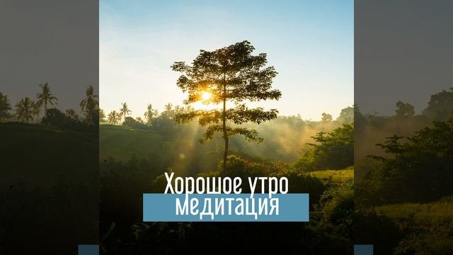 Нежные звуки душы