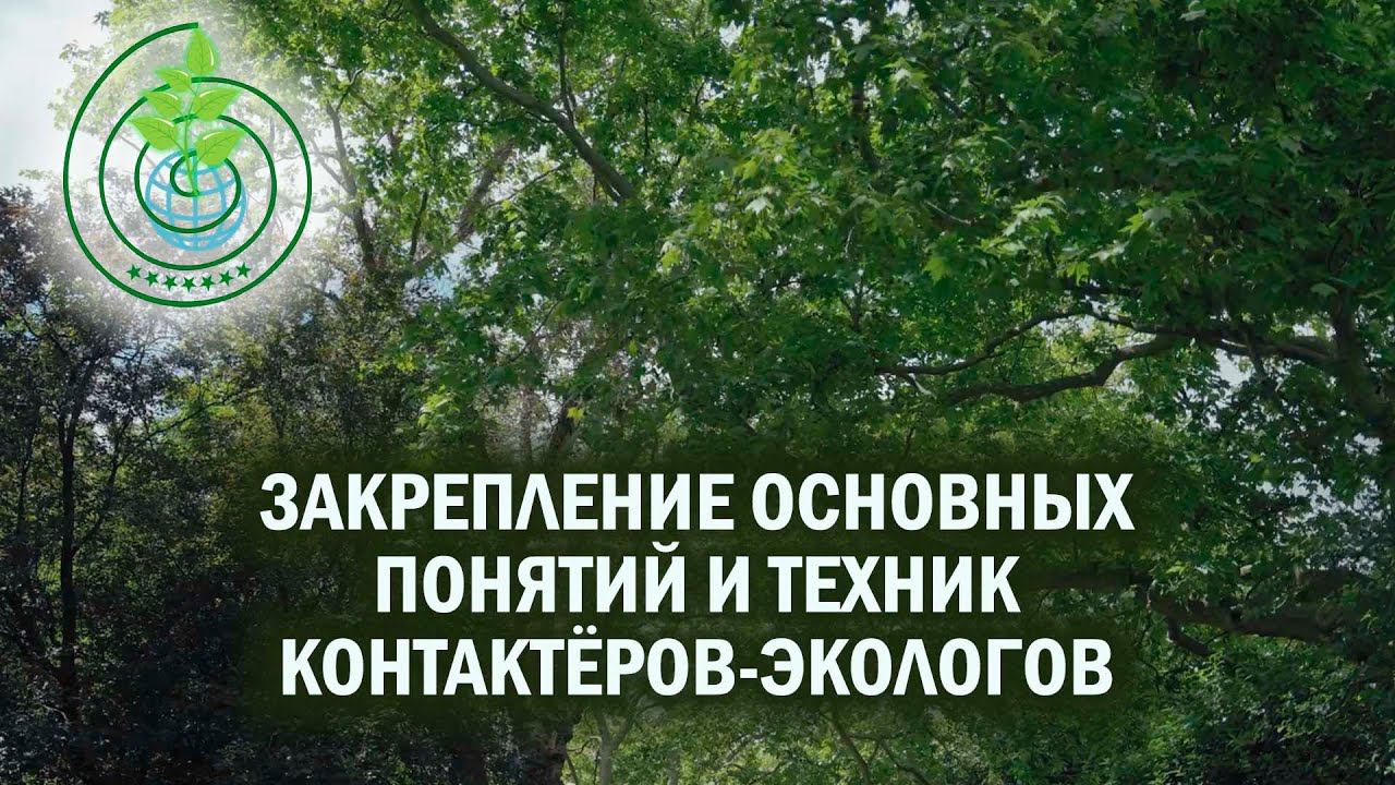 Закрепление основных понятий и техник, используемых при совместной работе Контактеров-Экологов