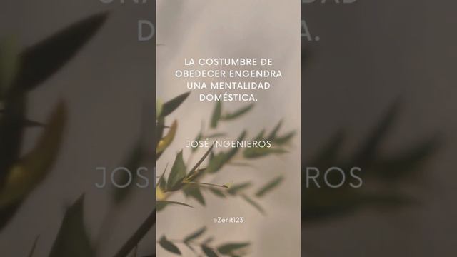 La costumbre de obedecer engendra... #frases #buda #amor #reflexiones #frasesdelavida #motivacion