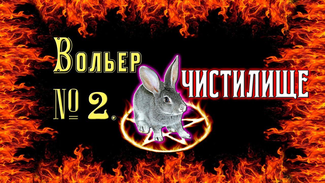 Вольер № 2. Чистилище кроликов