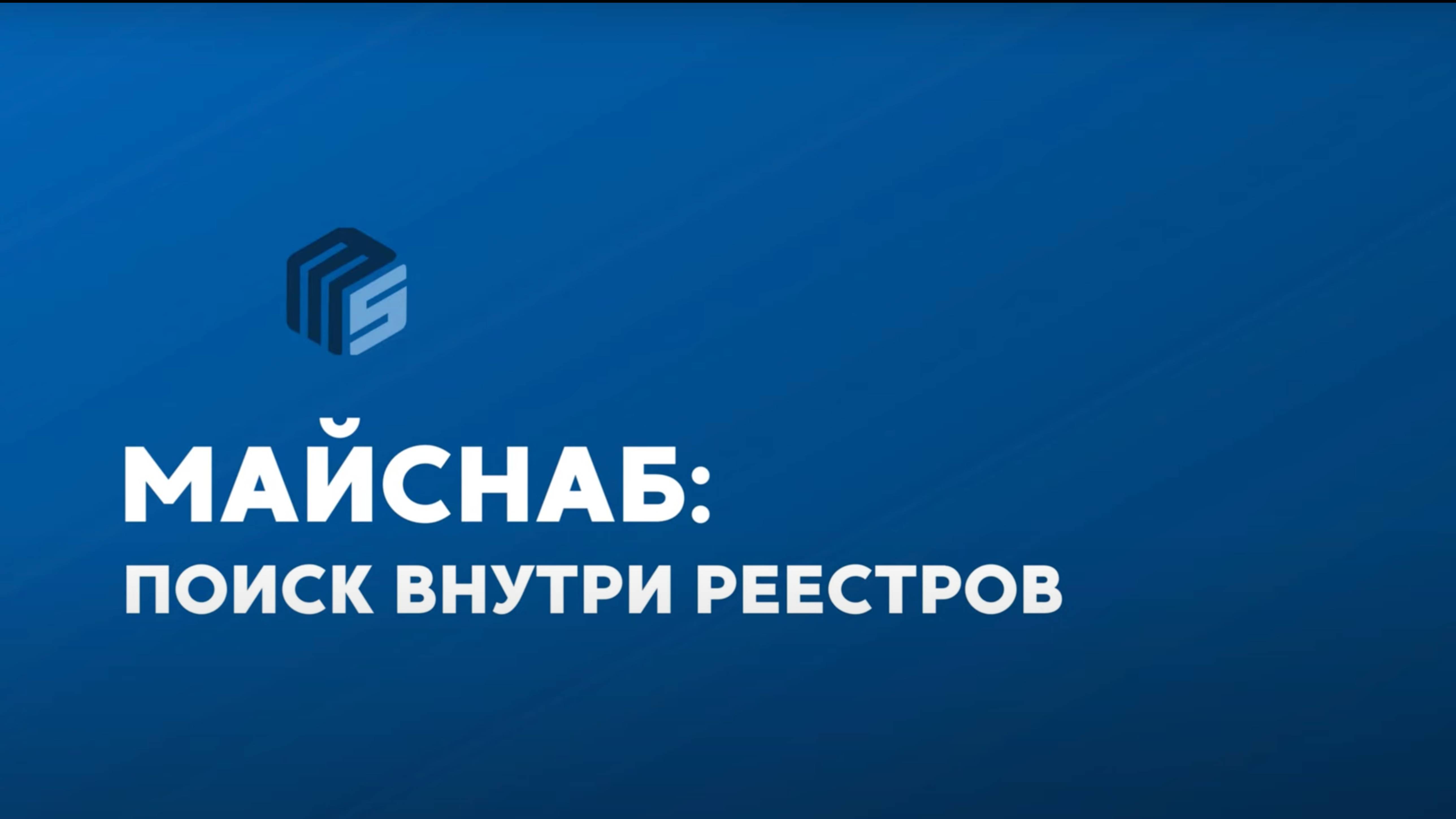 "Майснаб": поиск внутри реестров