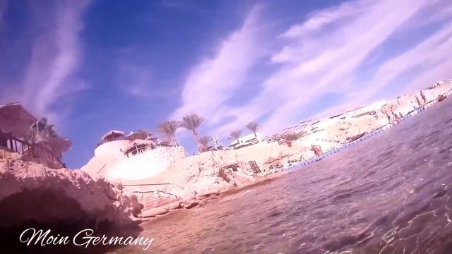 ?ЕГИПЕТ | Красное море | Шарм-эль-Шэйх | Коралловый риф отеля Hilton Sharks Bay Resort