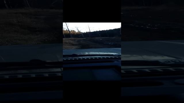 после уралов и трелёвщика.
