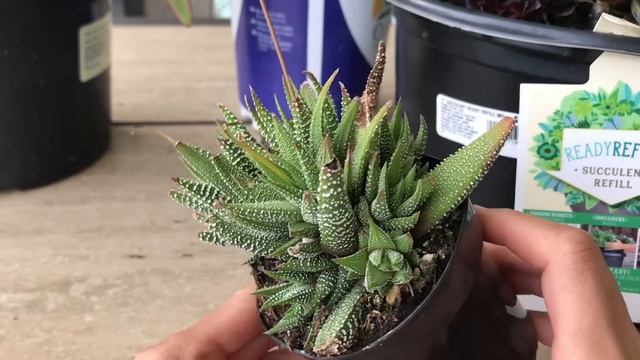 Shop With Me At Lowe's Part 2 March 2019