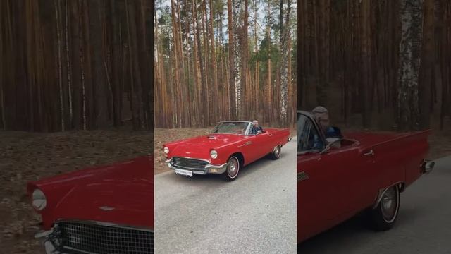 | Эовин Грей |