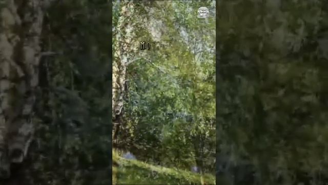 Не завидуйте молодым, молодыми мы все побывали.