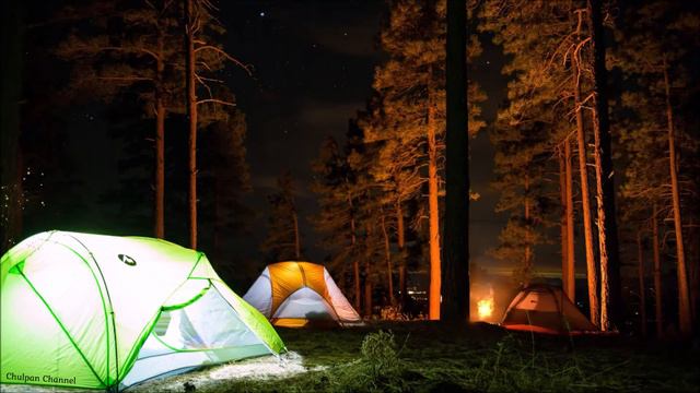 The atmosphere of the forest.Night in tents.Sound of nature.Атмосфера леса.Ночь в палатке.Звуки лес