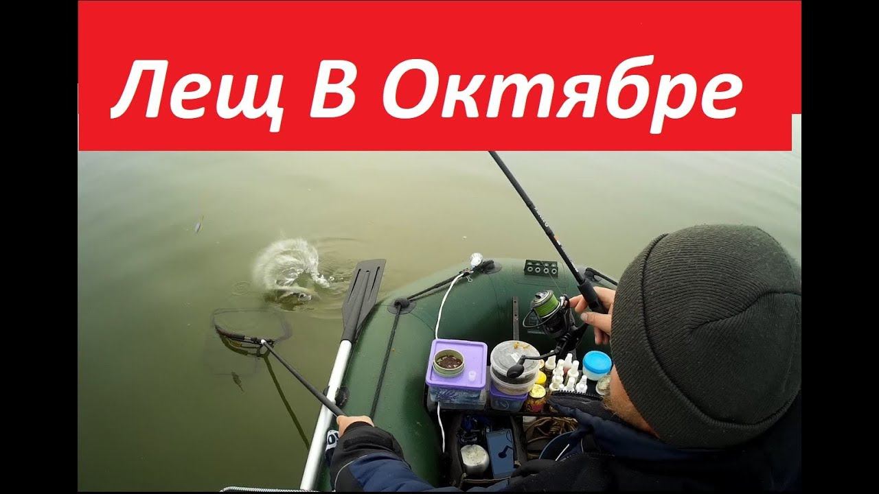 Лещ в октябре на водохранилище