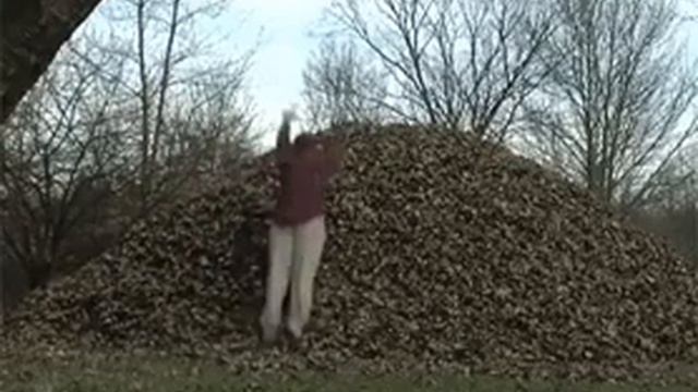 Прыжок в листья
