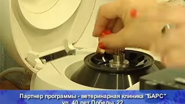 Ветеринарная клиника "Барс" в Тольятти