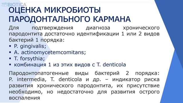 Оценка эффективности бактериальных лизатов и фитоэкстрактов в лечении хронического пародонтита