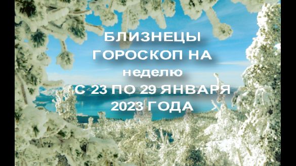 Гороскоп Близнец Декабрь 2023