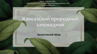 Экологический обзор «Кавказский природный заповедник»