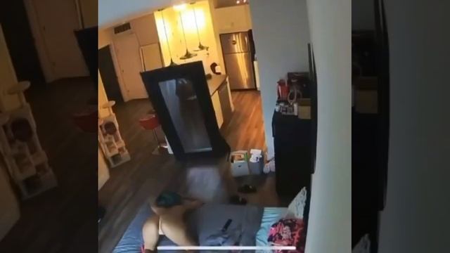 Смотреть видео онлайн