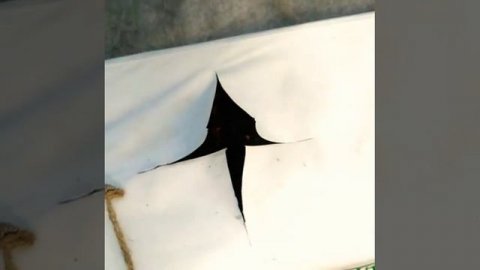 Теплица своими руками. Человек творит чудеса и желает поделиться опытом со всеми начинающими.