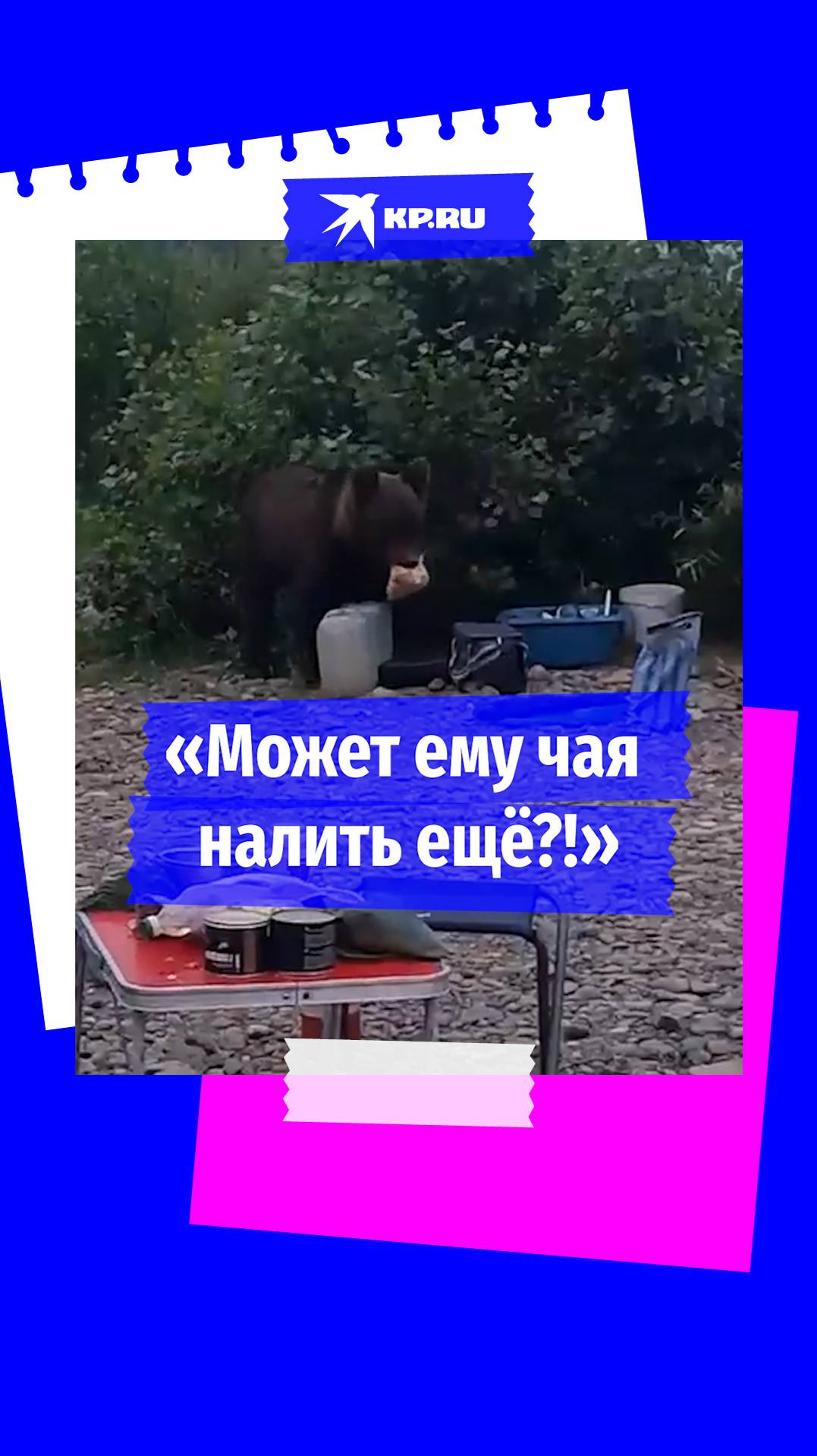 Медведь стащил печенье у рыбаков на берегу реки в Кемеровской области