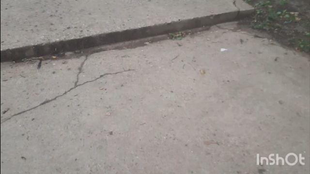Всеволод СПАСАЕТ малыша Сиреноголового от охотников Пришельцев! 2 серия 2 сезон