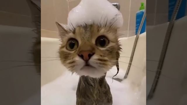 В душе