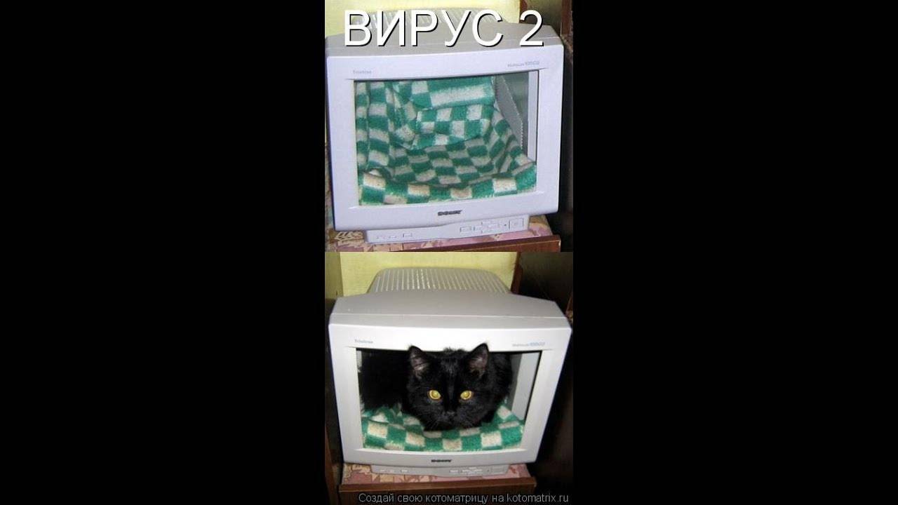 Котофильм "Вирус 2"