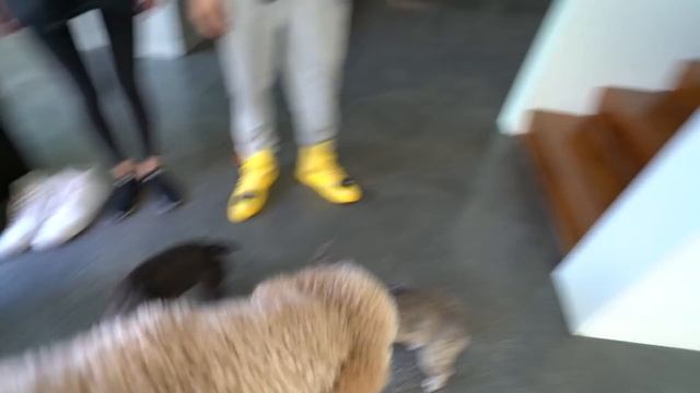 I BOUGHT MY TWIN A PUPPY!