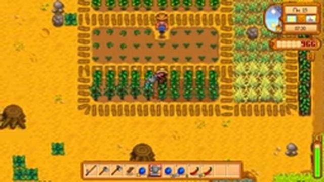 Stardew Valley| Завязываем узелки и находим синие трусы