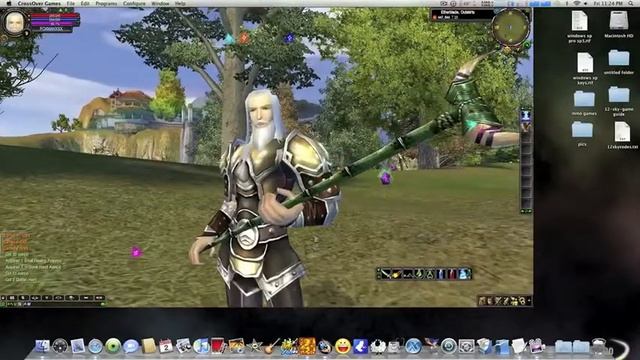 Playing perfect world on a  2010 mac mini