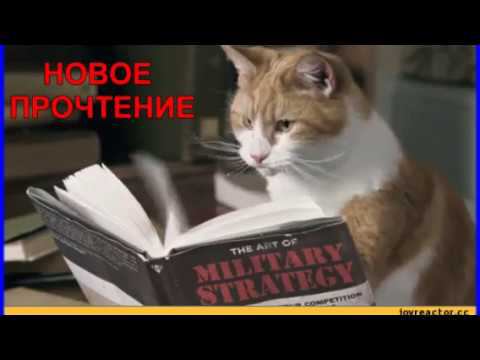 Библионочь в Плавской библиотеке