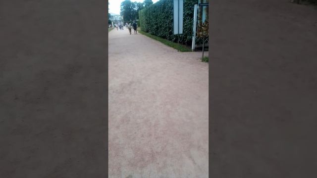 отдых