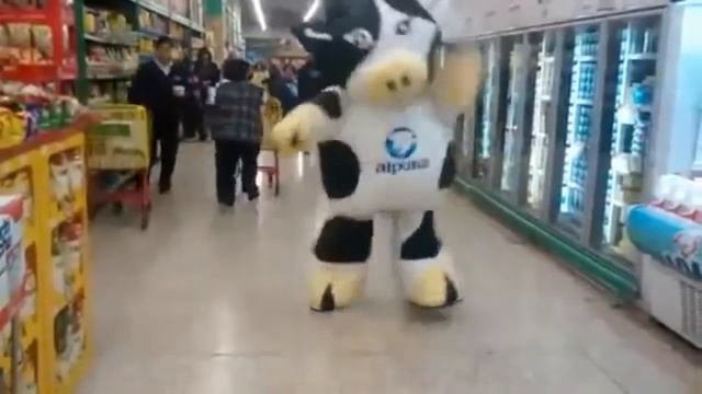 Vaca alpura bailando en supermercado __ Cypis - Gdzie jest biały węgorz_meme de vaca bailando 