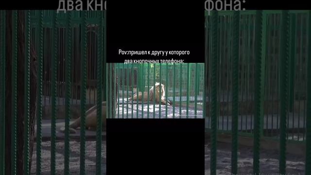 Тот самый друг