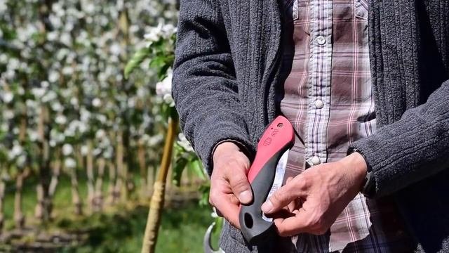 Какой инструмент выбрать для обрезки интенсивного сада?