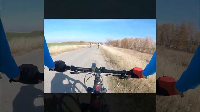 Покатушка Сказочный лес. Любимый Велос Саратов. ?????
