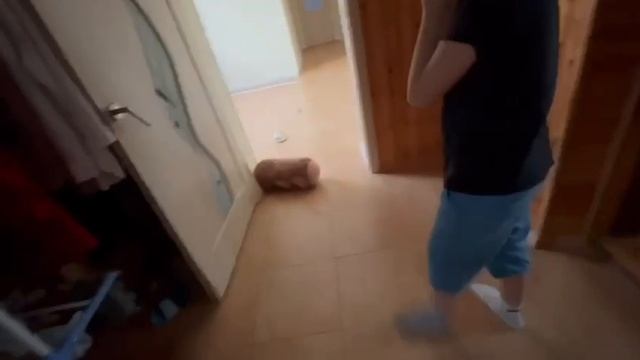 Мудрый Дуб 2часть 3
