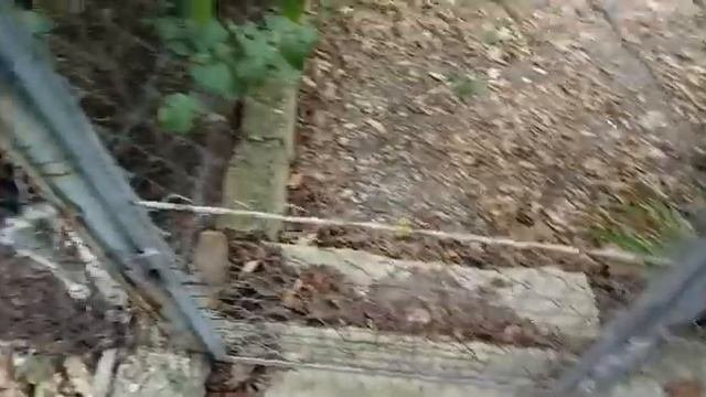Подкрепились и пошли гулять
