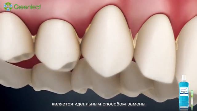 Сагich Спрей для полости рта+Сагich Ополаскиватель для полости рта 202006