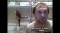 Попугаи венесуэльские амазоны,ара,какаду дома.Ответы на вопросы.