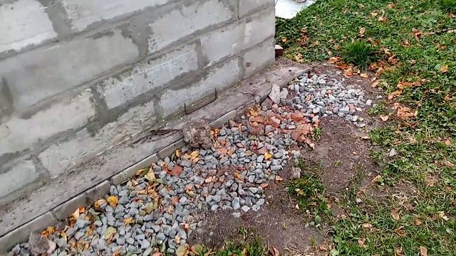 Купили МАШИНУ.    НЕДОРОГО!!!.   7 октября 2020г.