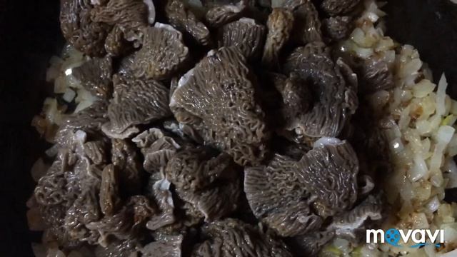 Сморчковые шапочки в сметане. Рецепт приготовления сморчковых шапочек.