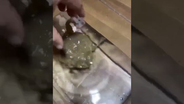 Большая, круглая жаба шипит