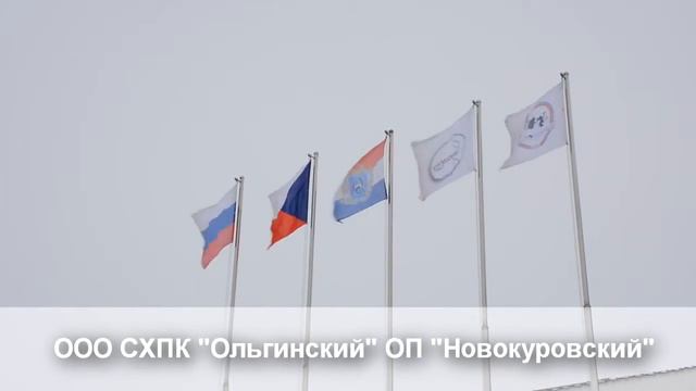 Визитная карточка факультета БиВМ