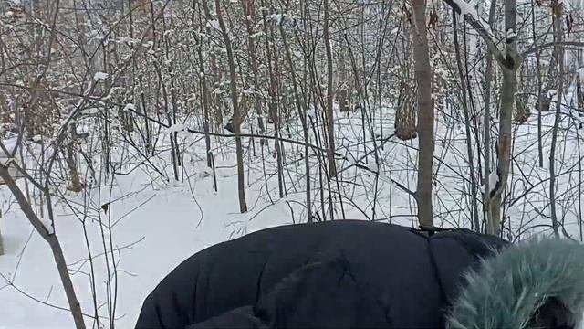 Подготовка пчелиных семей к зимовке убираю лишние рамки а если позволяет улей кладу рамку вверху.