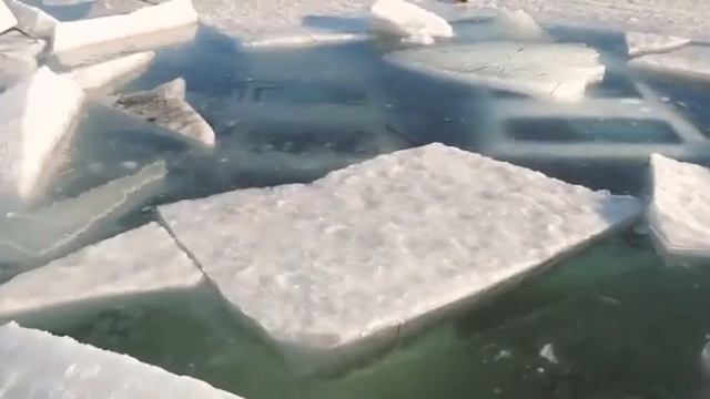 8 мая 2021 г.