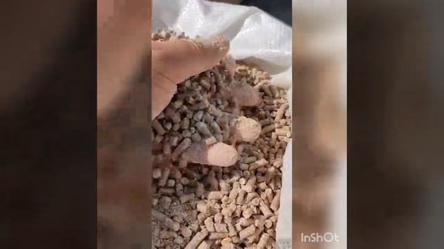 Комбикорм для КРС