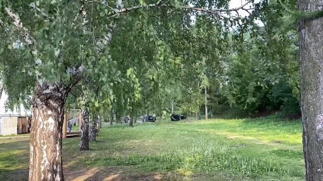 куда дует ветер 11.06.2021 | where the wind blows