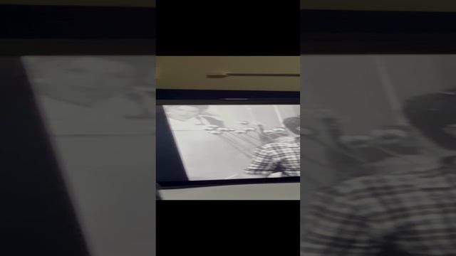 я думала, он шутит!
