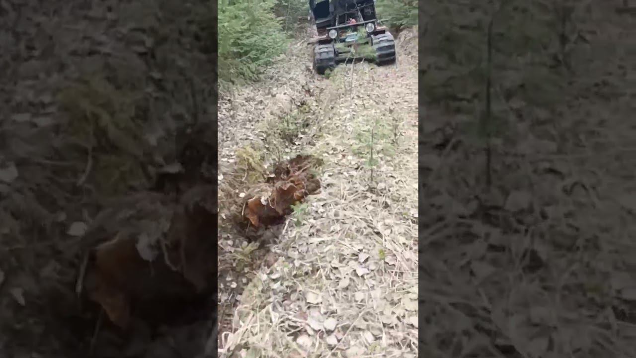Выдёргиваеи треки мотоблоком