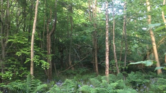 Return to The Apple - 22/05/17