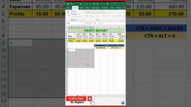 How to Transpose Excel Data? | XL Expert |