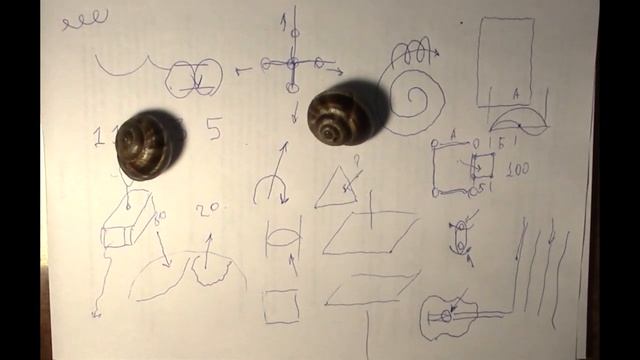 ДЛR872. Электрическая машина в волновом пространстве. ч1
