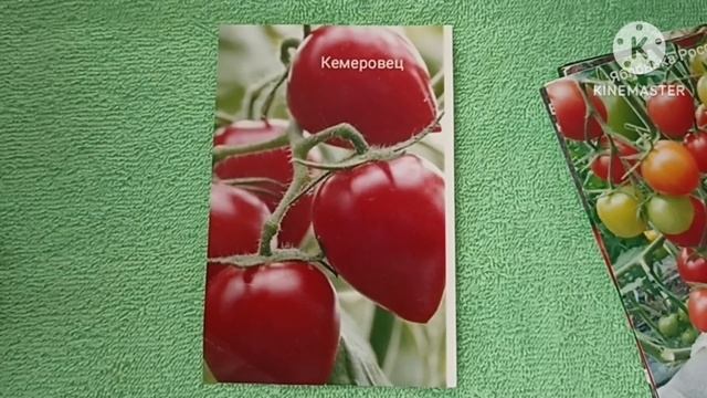 Выбираем сорта томатов для открытого грунта. Часть 5.